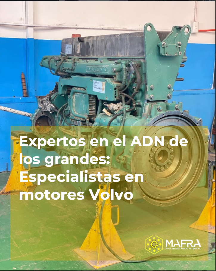 ADN automotriz - Equipo MAFRA TMI